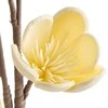Eurofirany KW/FLORE/843/K K