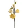 Eurofirany KW/FLORE/843/K K