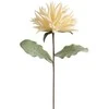Eurofirany KW/FLORE/844/K K
