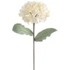 Eurofirany KW/FLORE/845/K K