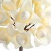 Eurofirany KW/FLORE/845/K K