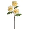 Eurofirany KW/FLORE/846/K K