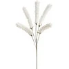 Eurofirany KW/FLORE/850/B B
