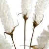 Eurofirany KW/FLORE/850/B B