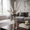 Eurofirany KW/FLORE/850/B B