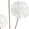 Eurofirany KW/FLORE/851/B B