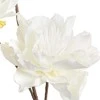 Eurofirany KW/FLORE/852/B B