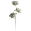 Eurofirany KW/FLORE/852/J.Z J.ZIEL
