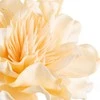 Eurofirany KW/FLORE/852/K K+GELTONA
