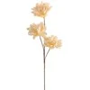 Eurofirany KW/FLORE/852/K K+GELTONA