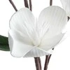 Eurofirany KW/FLORE/854/B B