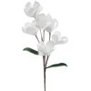 Eurofirany KW/FLORE/854/B B