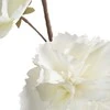 Eurofirany KW/FLORE/856/B B