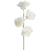Eurofirany KW/FLORE/856/B B