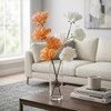 Eurofirany KW/FLORE/856/B B
