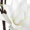Eurofirany KW/FLORE/857/B B