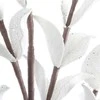Eurofirany KW/FLORE/858/B B