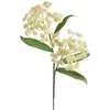 Eurofirany KW/FLORE/859/K K+TARGET