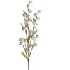 Eurofirany KW/FLORE/863/C.B C.BEIGE