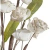 Eurofirany KW/FLORE/863/C.B C.BEIGE