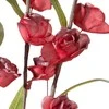 Eurofirany KW/FLORE/863/JUN Raudonas