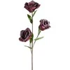 Eurofirany KW/FLORE/864/C.F C.FIOL