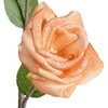 Eurofirany KW/FLORE/864/MOR MOR