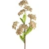 Eurofirany KW/FLORE/865/C.B C.BEIGE
