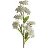 Eurofirany KW/FLORE/865/POP POPI