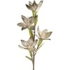 Eurofirany KW/FLORE/866/C.B C.BEIGE