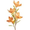 Eurofirany KW/FLORE/866/CEG CEG