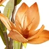 Eurofirany KW/FLORE/866/CEG CEG