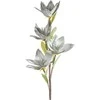 Eurofirany KW/FLORE/866/POP POPI