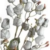 Eurofirany KW/FLORE/867/POP POPI
