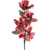 Eurofirany KW/FLORE/868/JUN Raudonas
