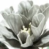 Eurofirany KW/FLORE/869/POP POPI