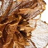Eurofirany KW/FLORE/870/BR BR