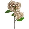 Eurofirany KW/FLORE/872/C.B C.BEIGE