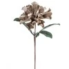 Eurofirany KW/FLORE/873/C.B C.BEIGE