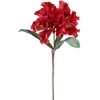 Eurofirany KW/FLORE/873/JUN Raudonas