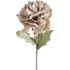 Eurofirany KW/FLORE/874/C.B C.BEIGE
