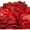Eurofirany KW/FLORE/874/JUN Raudonas