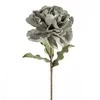 Eurofirany KW/FLORE/874/POP POPI