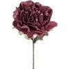 Eurofirany KW/FLORE/875/C.F C.FIOL
