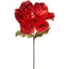 Eurofirany KW/FLORE/875/JUN Raudonas