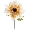 Eurofirany KW/FLORE/885/K K+smėlio