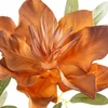 Eurofirany KW/FLORE/886/POM POMA+BR