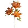 Eurofirany KW/FLORE/886/POM POMA+BR