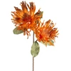 Eurofirany KW/FLORE/887/POM POMA+BR
