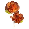 Eurofirany KW/FLORE/889/POM POMA+BR
